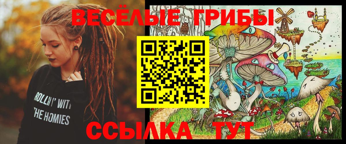 Галлюциногенные грибы прущие грибы Волгоград